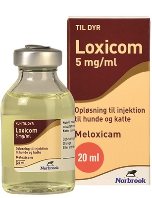 lager Kejserlig Glow VETiSearch - Loxicom 5 mg/ml - 1 x 20 ml - VNR 399158